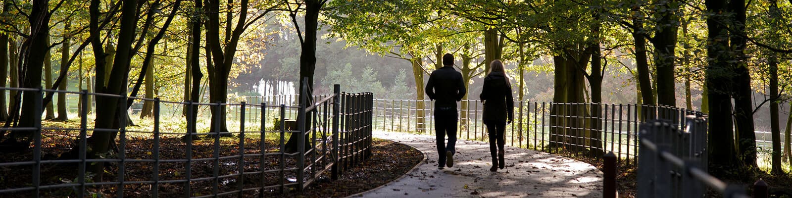 a couple of students walk through an area of woodland on campus