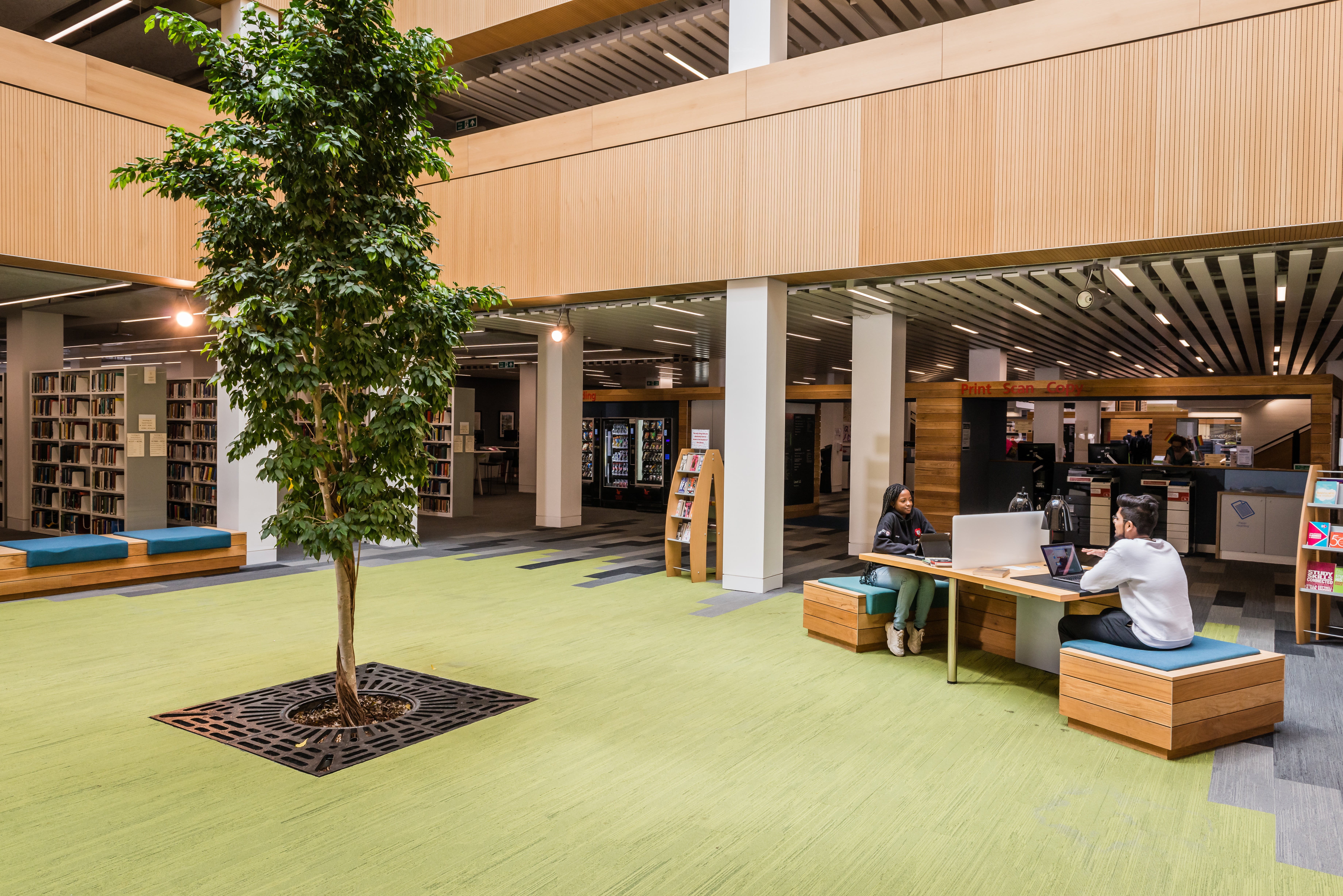 The library tree area with desks and book shelves in the background.
