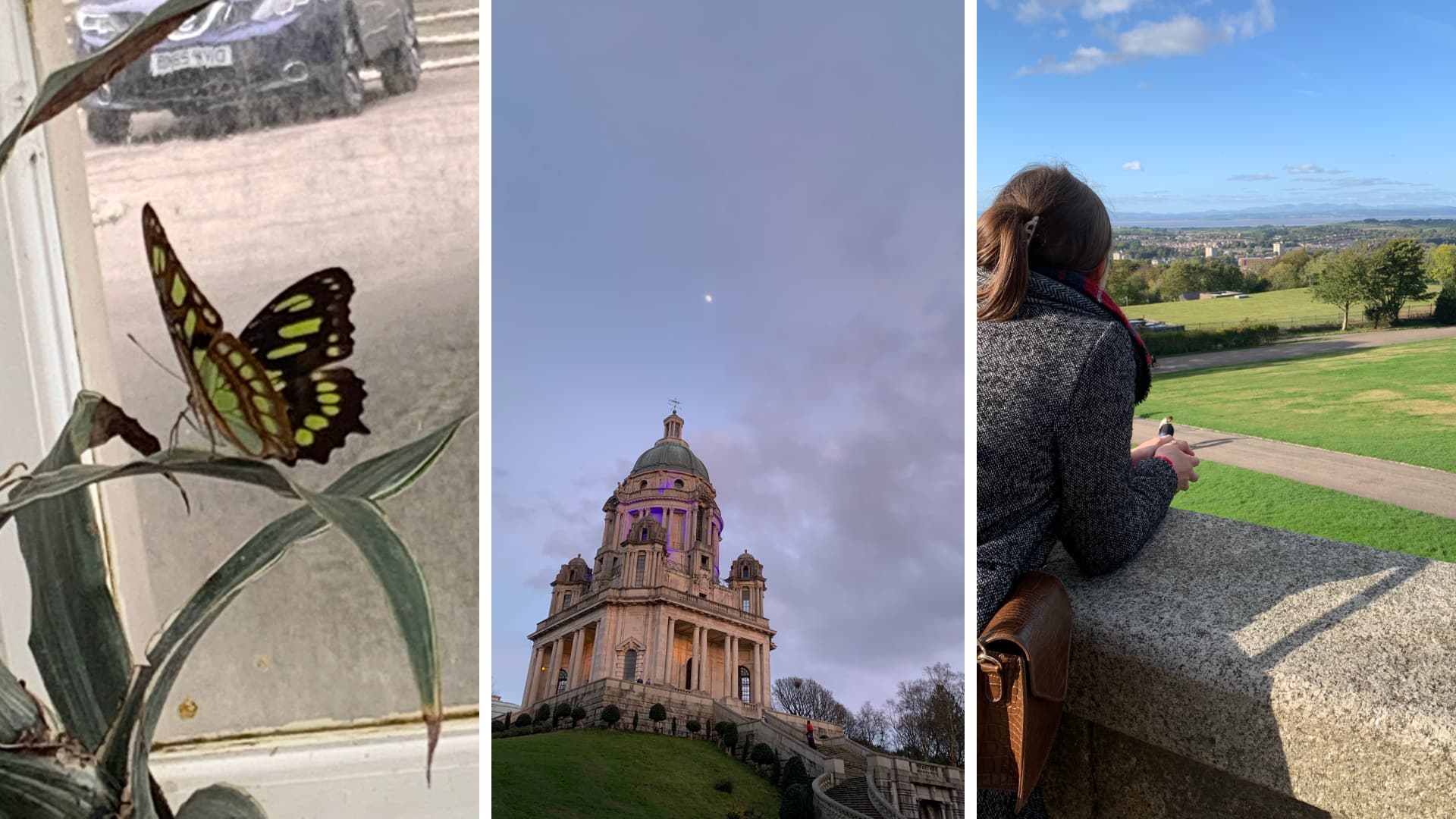 Three views of Williamson Park showing a butterfly in the Butterfly House, the Ashton Memorial and the view across Morecambe Bay.