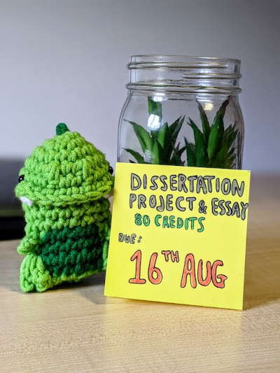 Plant in a jar with a visual reminder of dissertation deadline.