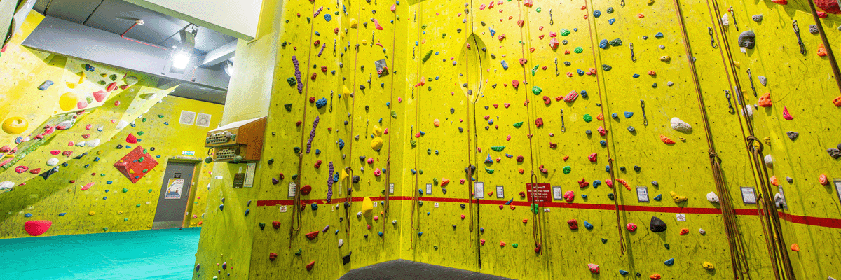 Person on Climbing Wall