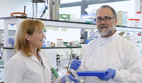 Two professors work together in a laboratory.