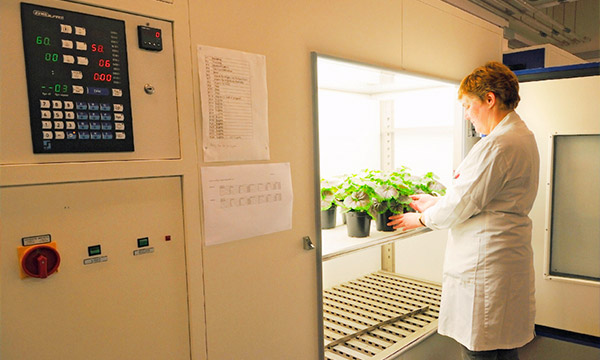 The controlled environment plant growth rooms