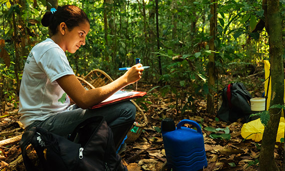 A researcher takes readings in the Amazon rainforest